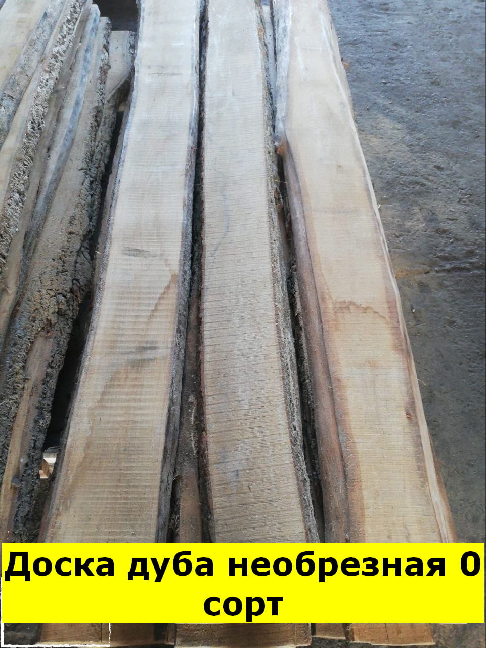 Доска дуба